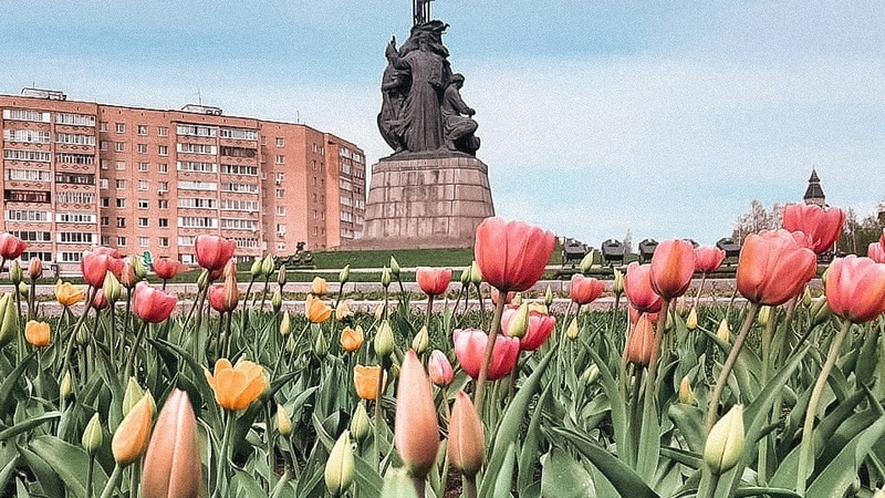 Весной Сургут украсят 40 тысяч тюльпанов