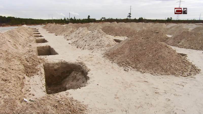 Зачем столько могил? Директор кладбища в Сургуте прокомментировал скандальное видео