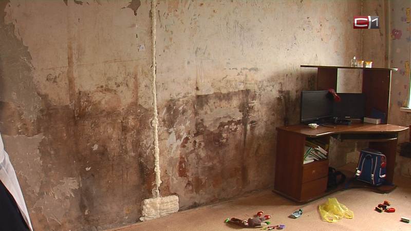 Плесень и муравьи: сургутянка рассказала о невыносимых условиях проживания в квартире