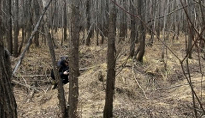 Мужчине удалось отбиться ножом от медведя в лесу под Тюменью