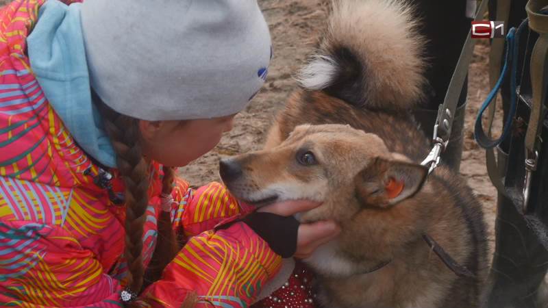 Акция добра: подопечные «Благо Дарю» побывали в приюте для бездомных собак