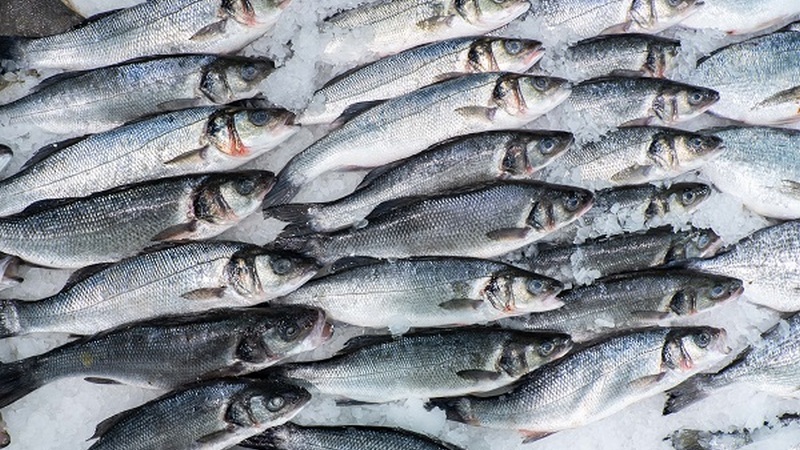 В Югре из-за вспышки описторхоза закрыли рыбный цех