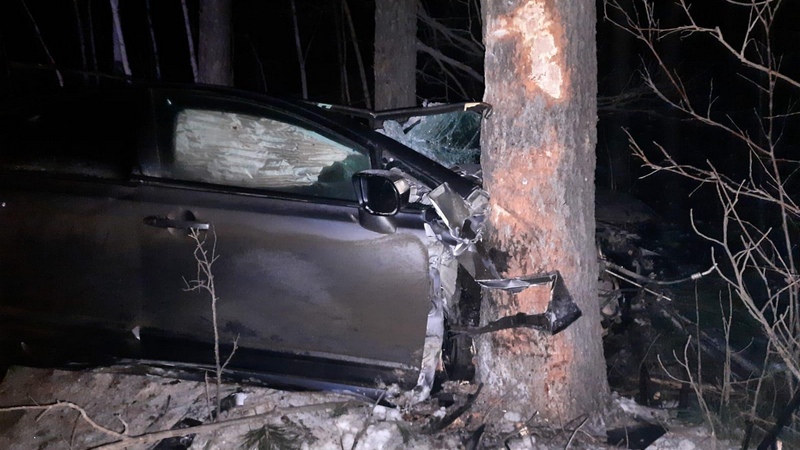 Водитель не справился с управлением: на трассе в Югре «Хонда» врезалась в дерево