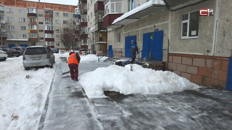 Снегоборьба и бой за нравственность стали самым яркими «сражениями» недели в Сургуте