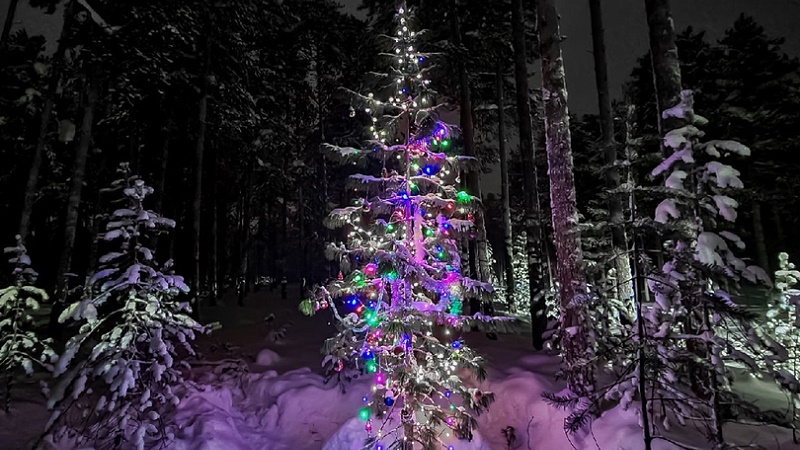 Сургутянин украсил новогоднюю елку в лесу за 28 километров от города