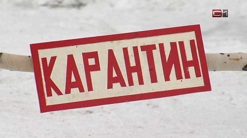 Сценарий повторяется: в Сургутском районе могут закрыть въезд в некоторые поселения
