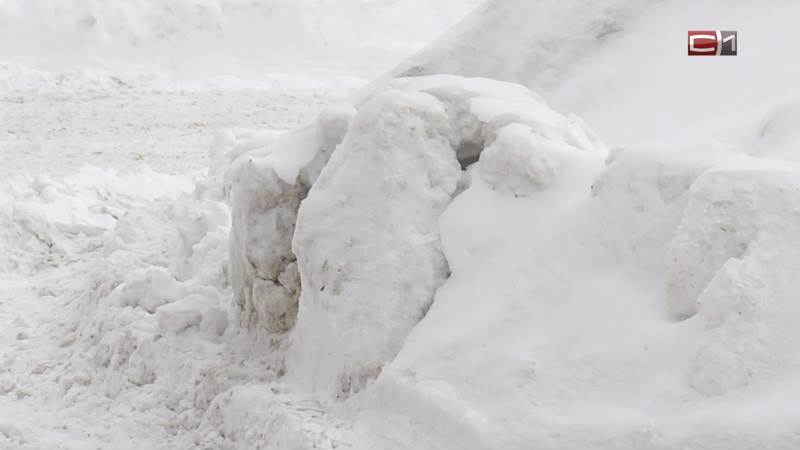Как в Сургуте наказывают компании, недобросовестно убирающие улицы от снега