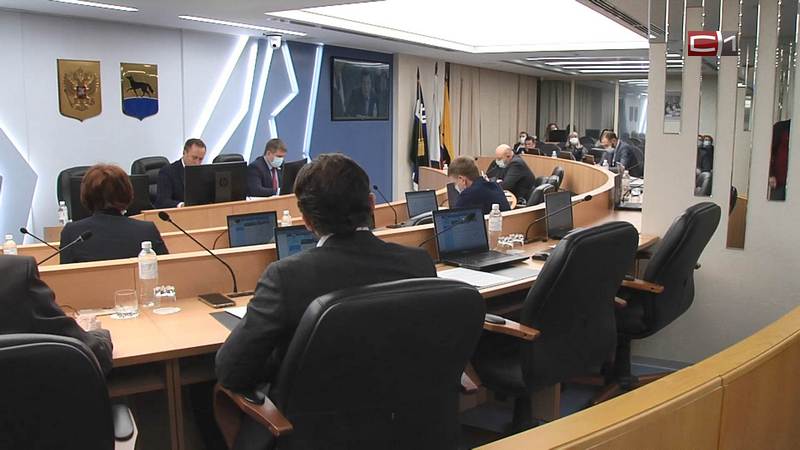 «Петрушка» или ДШИ? Депутаты и чиновники Сургута спорят, куда потратить бюджет