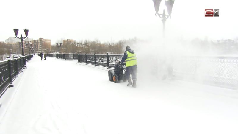Больше всего жалоб на уборку снега поступило в мэрию Сургута в январе 
