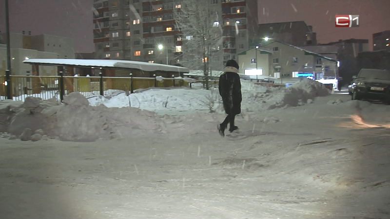 Набрали форму. Чистить пешеходные зоны от снега в Сургуте начнут усерднее