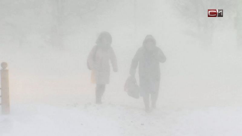 Непогода в Сургуте усилится: синоптики предупредили о штормовом ветре