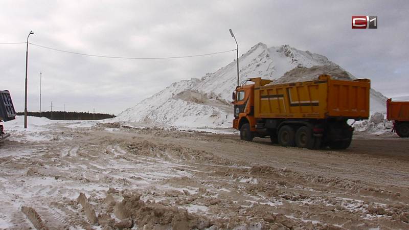 За зиму из Сургута вывезли 2,5 млн кубометров снега. Что ждет город весной
