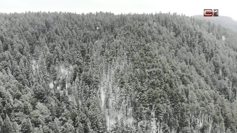 Весна не торопится. В Югре ожидаются сильные морозы