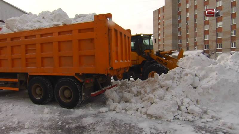 УК Сургута могут обязать чаще убирать городские дворы от снега 