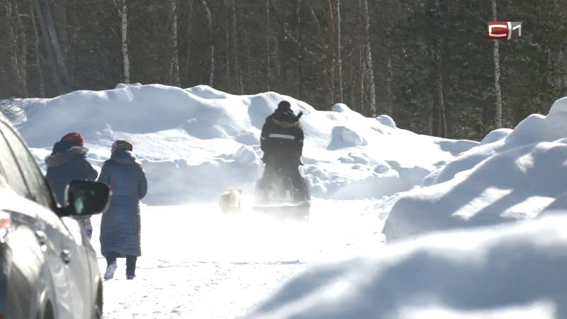 В Сургутском районе введены ограничения по движению на зимниках