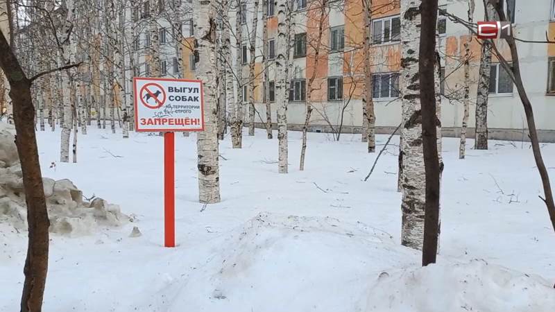 Когда парки Сургута перестанут быть общественным туалетом для питомцев