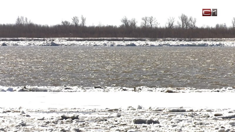 Ледоход в Сургуте: уровень воды поднялся на 558 сантиметров