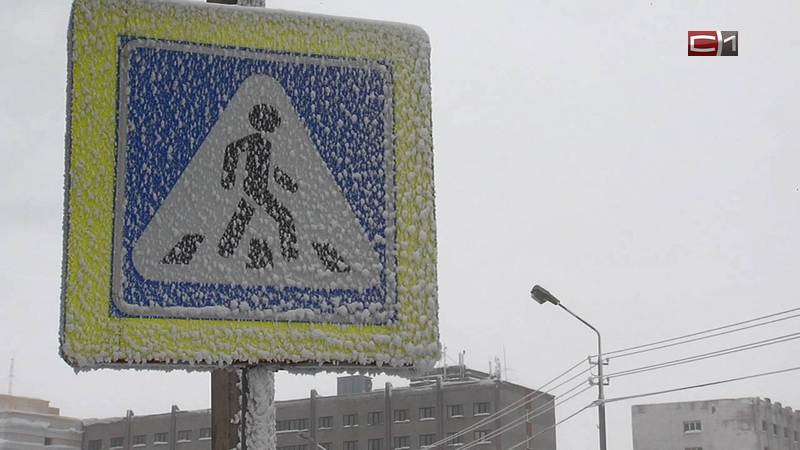 В Сургуте грядет похолодание — мокрый снег, метель, порывистый ветер