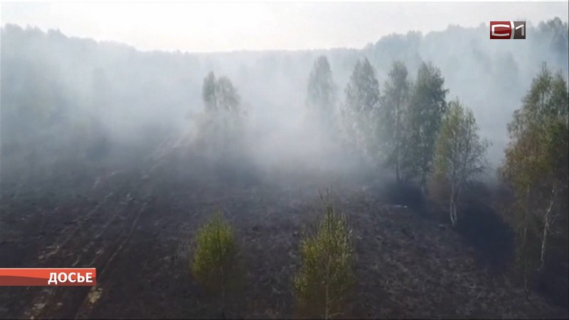 Первый лесной пожар: в МЧС Югры рассказали подробности случившегося