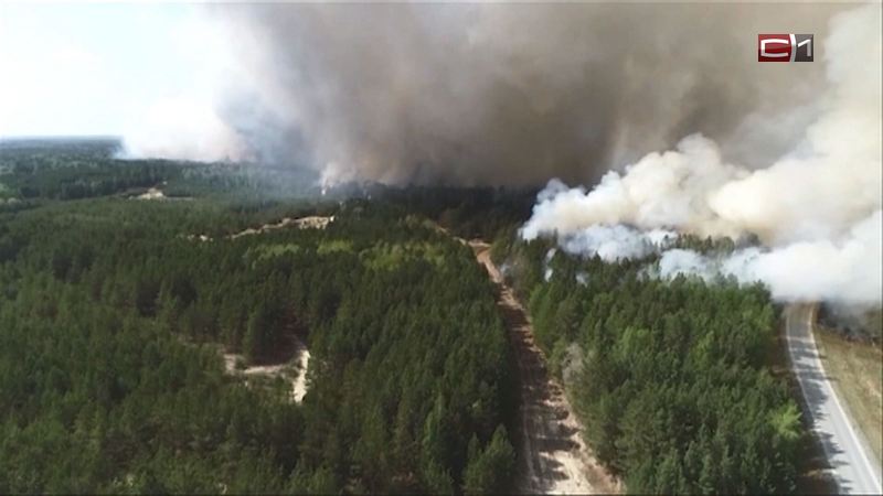 В Депнедра озвучили причину лесных и ландшафтных пожаров в Югре