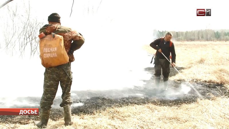 Губернатор Югры объяснила причину пожара в окрестностях столицы округа   