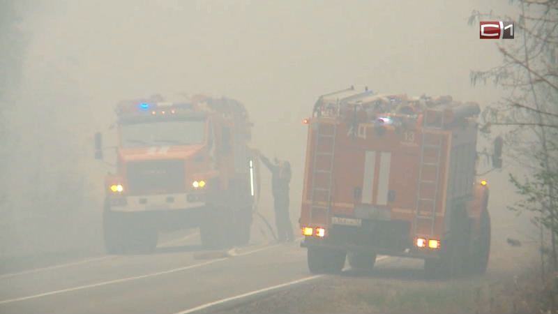 Лесные пожарные Югры помогают коллегам в Красноярском крае