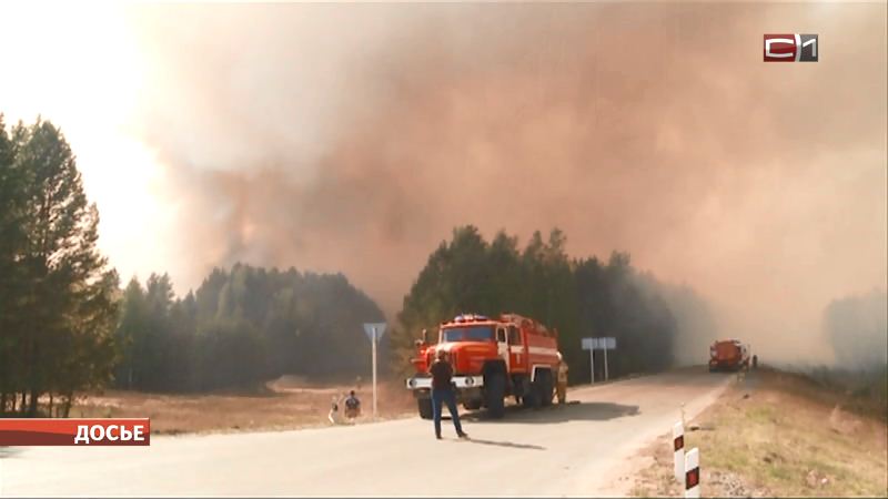 В Югре тушили ландшафтный пожар на площади в 15 гектаров