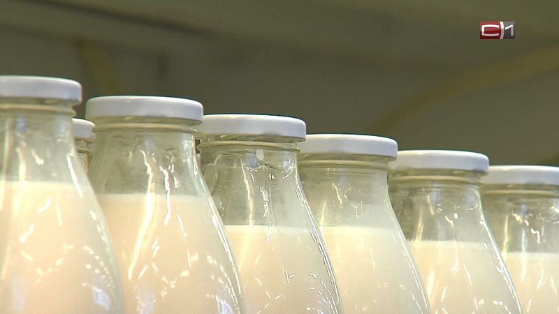 Почти на 90% завысили цены на молочную продукцию в ряде магазинов Югры
