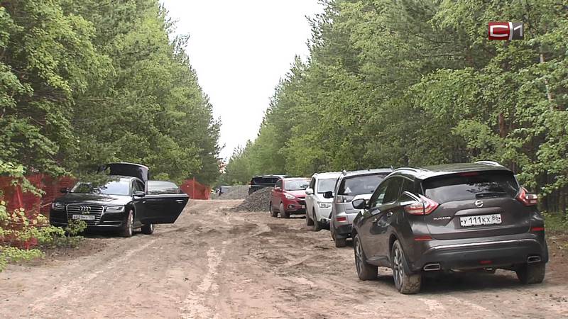 Экологическая тропа появится в одном из поселков Сургутского района