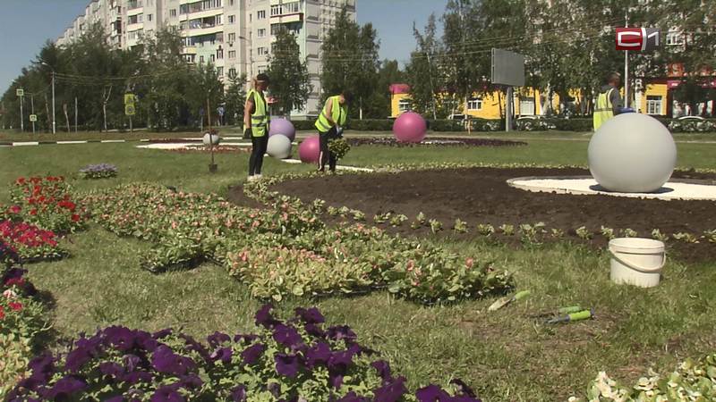 Цветной город: как Сургут преобразился этим летом