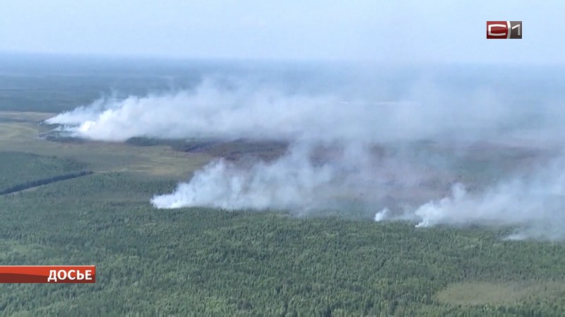 Около 130 возгораний ликвидировано в лесах Югры с начала пожароопасного сезона
