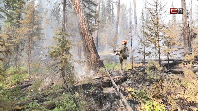 На территории Югры возникает около 20 очагов лесных пожаров в сутки