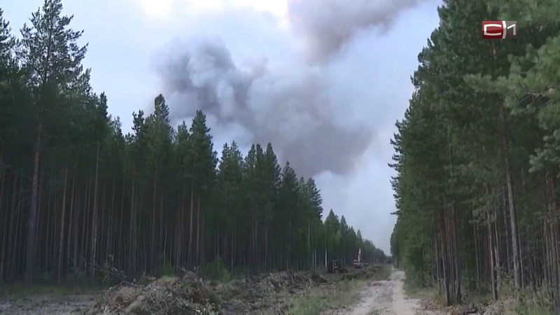 Режим повышенной готовности введен в Югре из-за лесных пожаров