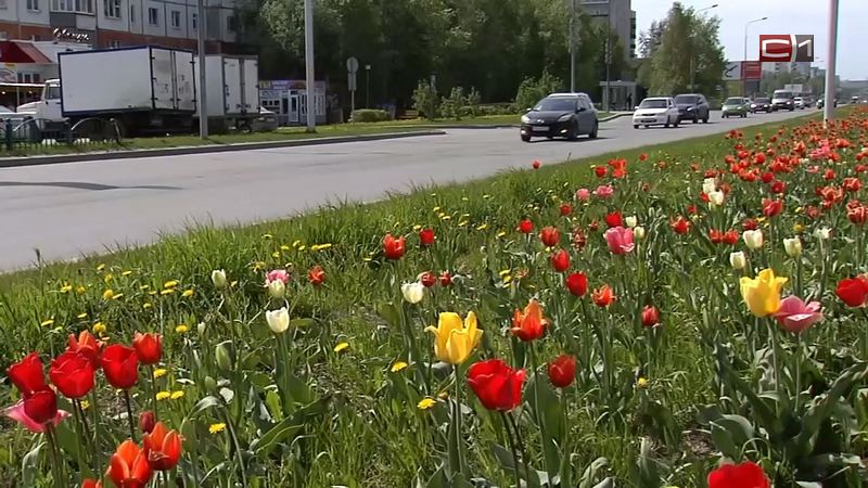 Синоптики рассказали, какая погода ждет сургутян на предстоящей неделе