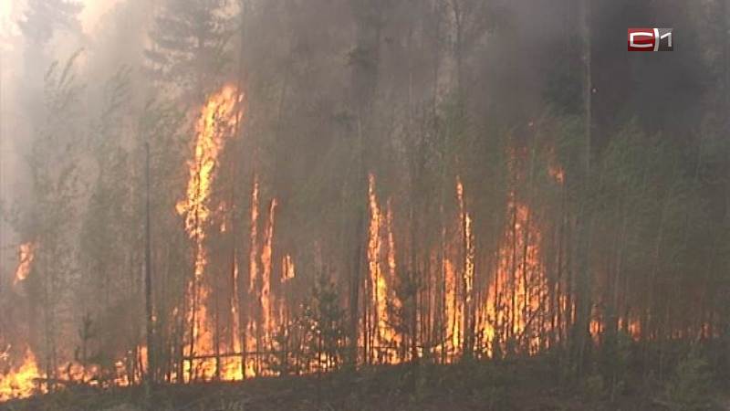 В Югре отменили режим ЧС, введенный из-за лесных пожаров