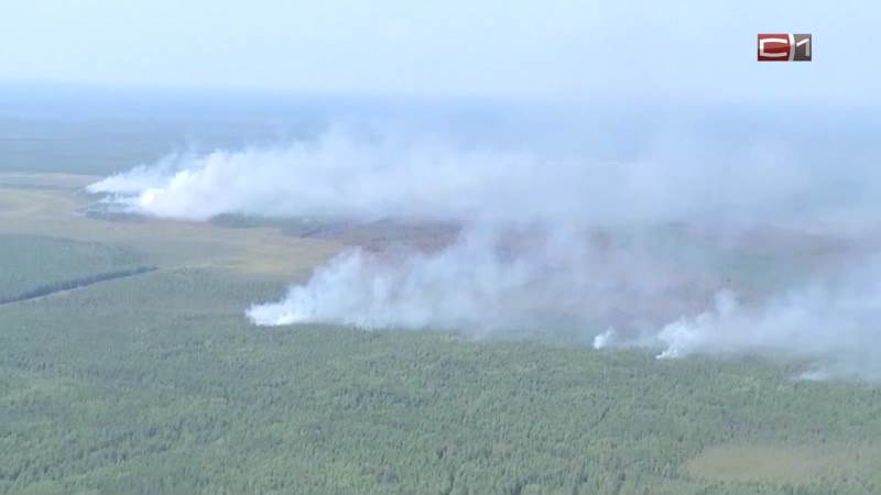 Некоторые города Югры накрыл смог из-за лесных пожаров