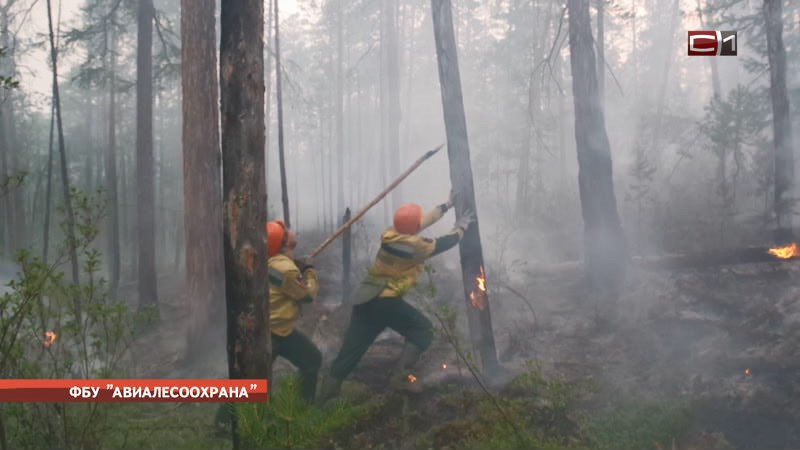 Сургут вновь окутала дымка от лесных пожаров, бушующих в Югре