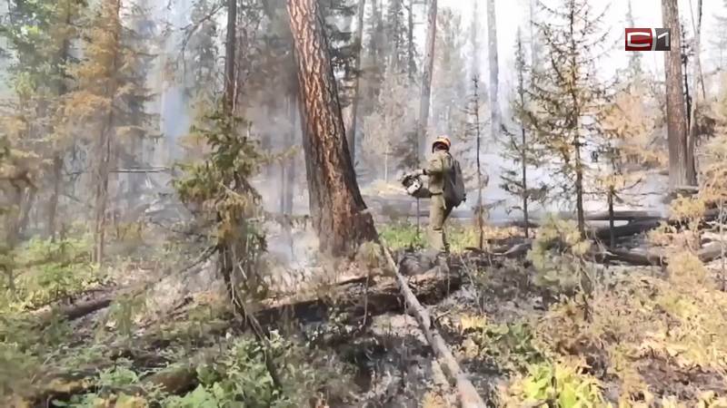 Добровольцы готовы помогать с тушением лесных пожаров в Сургутском районе