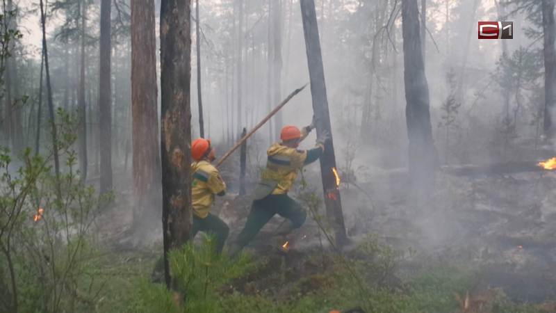 140 тысяч гектаров в огне: обстановка с лесными пожарами в Югре