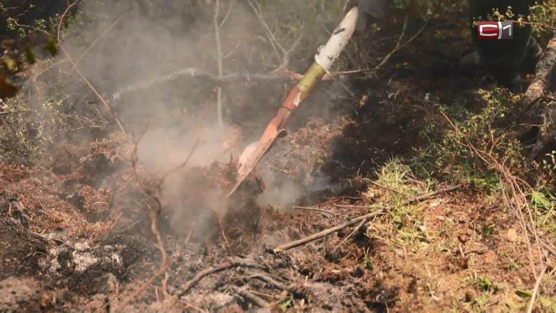 Площадь лесных пожаров в Югре сократилась за сутки почти в 8 раз