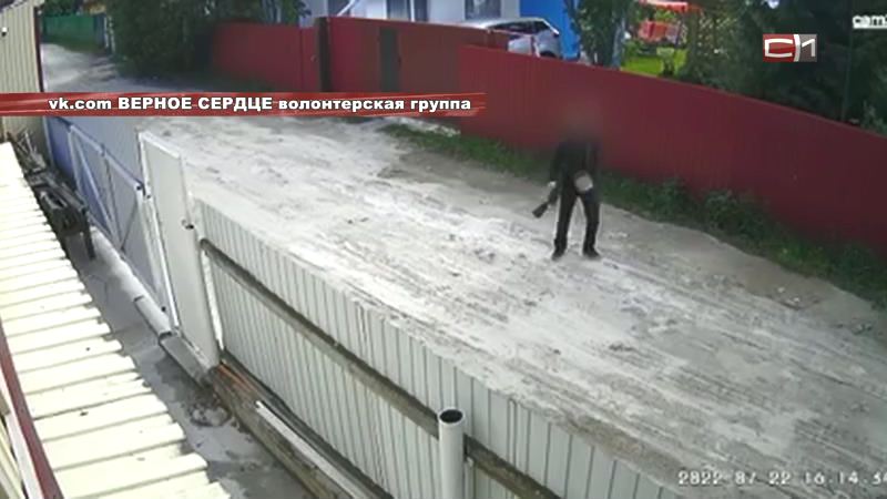 Полиция Сургута выясняет, где запугавшие дачников подростки раздобыли оружие 