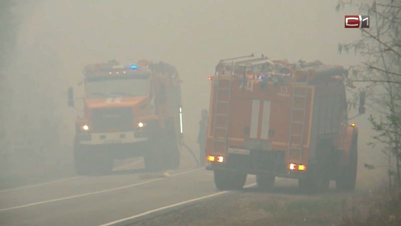 Полпред в УрФО оценил работу регионов по тушению лесных пожаров 