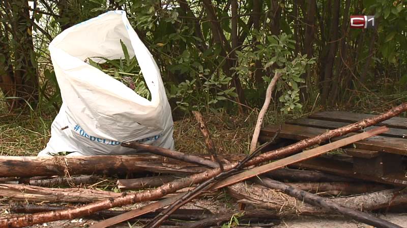 Активисты очистили от мусора 11 участков на берегах водоемов Сургута