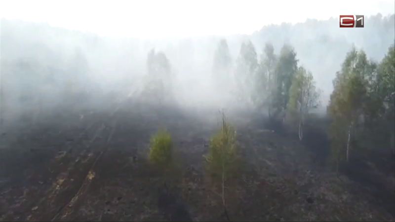 Запах гари снова в Сургуте. Официальный комментарий о ситуации с лесными пожарами