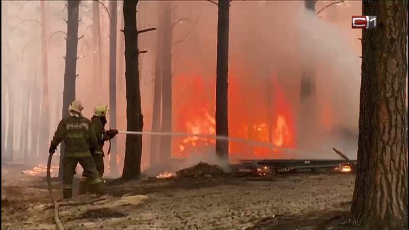 Площадь лесных пожаров в Югре уменьшилась на 44 процента за сутки