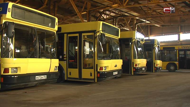 Автопарк «СПОПАТа» может пополниться сотней автобусов из Беларуси