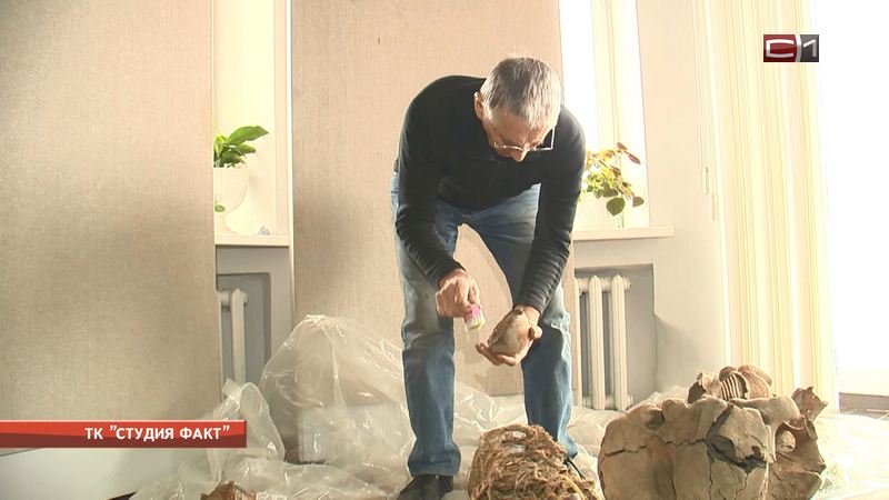 На Ямале нашли сохранившийся скелет мамонтенка