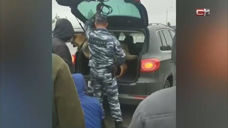 Жителя Подмосковья задержали под Сургутом с наркотиками «на любой вкус»