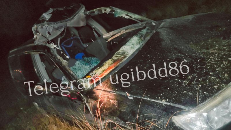 Автомобиль Subaru сбил лося на дороге «Сургут-Товарный парк»