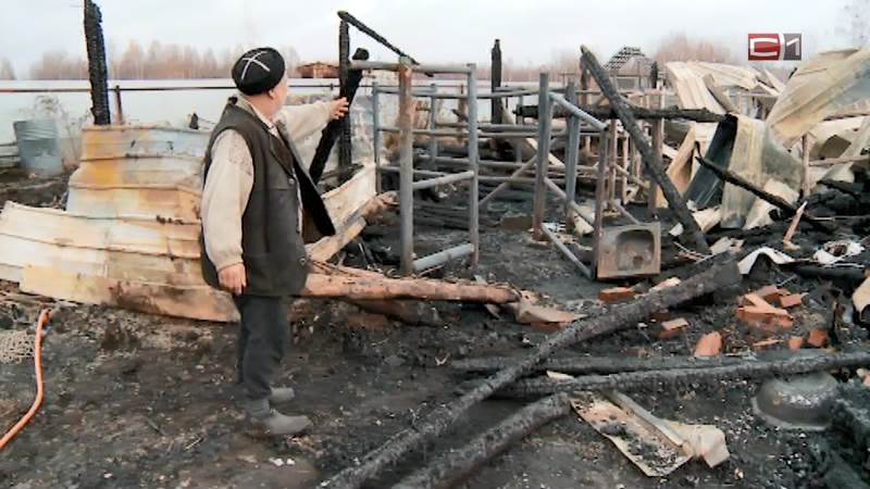 Сгорел известный в Тюменской области туркомплекс «Казачье подворье»
